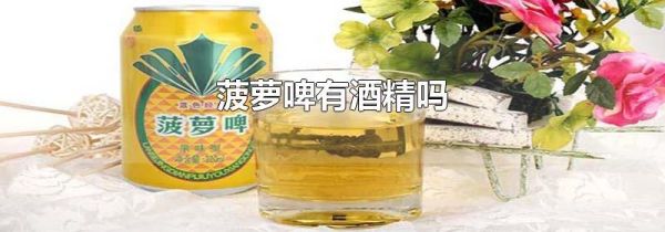 菠萝啤有酒精吗