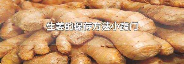生姜的保存方法小窍门