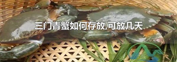 三门青蟹如何存放,可放几天