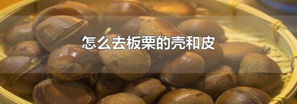 怎么去板栗的壳和皮