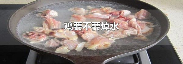 鸡要不要焯水