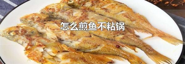 怎么煎鱼不粘锅