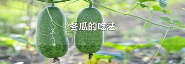 冬瓜的吃法