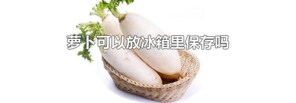 萝卜可以放冰箱里保存吗