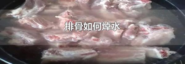 排骨如何焯水