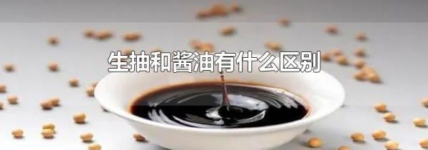 生抽和酱油有什么区别