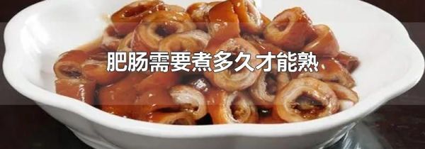 肥肠需要煮多久才能熟