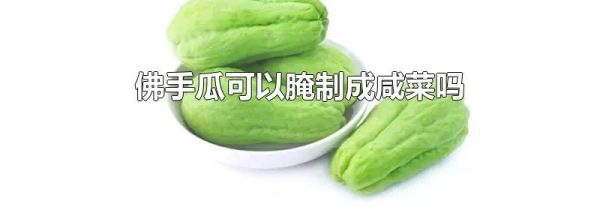佛手瓜可以腌制成咸菜吗