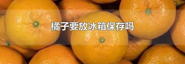 橘子要放冰箱保存吗