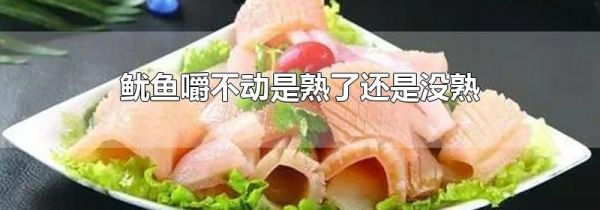 鱿鱼嚼不动是熟了还是没熟