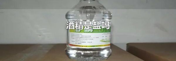 酒精是盐吗