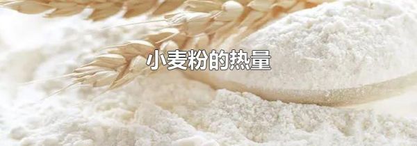 小麦粉的热量