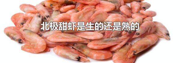 北极甜虾是生的还是熟的