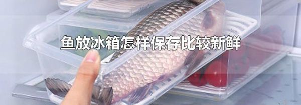 鱼放冰箱怎样保存比较新鲜