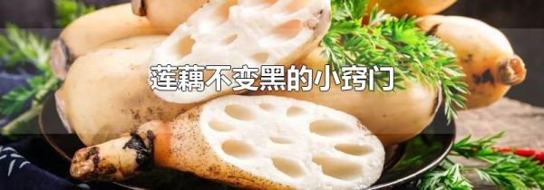 莲藕不变黑的小窍门