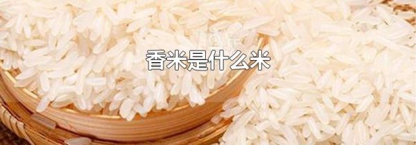 香米是什么米