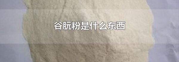 谷朊粉是什么东西