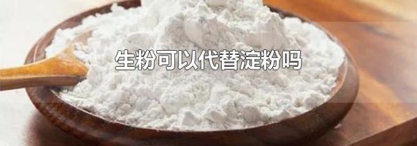 生粉可以代替淀粉吗