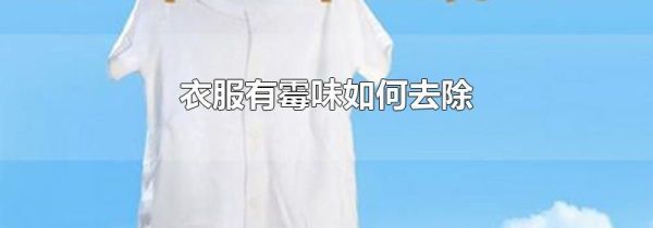 衣服有霉味如何去除