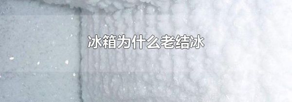 冰箱为什么老结冰