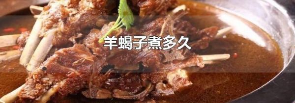 羊蝎子煮多久