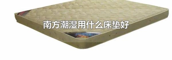 南方潮湿用什么床垫好