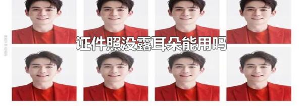 证件照没露耳朵能用吗