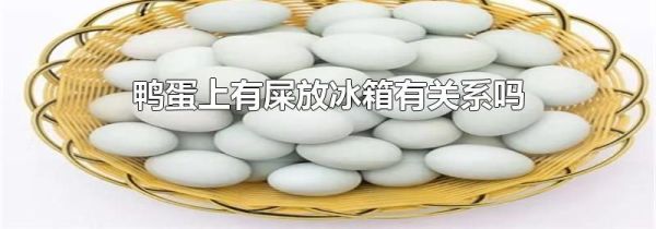 鸭蛋上有屎放冰箱有关系吗