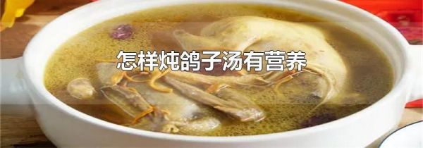 怎样炖鸽子汤有营养