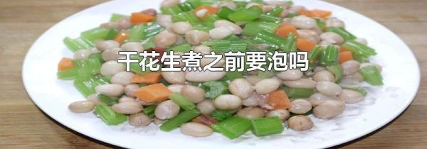 干花生煮之前要泡吗