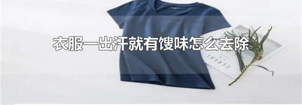 衣服一出汗就有馊味怎么去除
