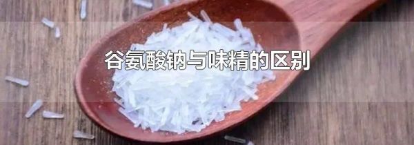 谷氨酸钠与味精的区别