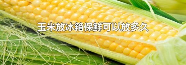 玉米放冰箱保鲜可以放多久