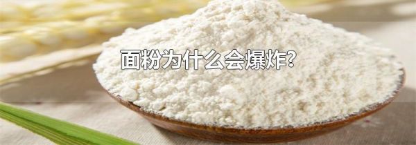 面粉为什么会爆炸?