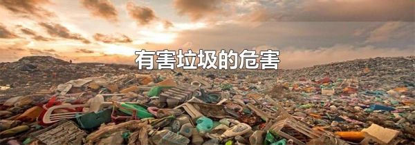 有害垃圾的危害