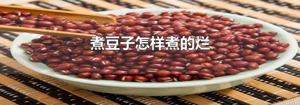 煮豆子怎样煮的烂