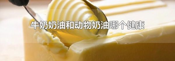 牛奶奶油和动物奶油哪个健康