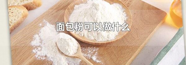 面包粉可以做什么