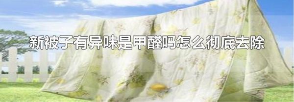 新被子有异味是甲醛吗怎么彻底去除