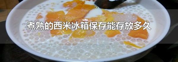 煮熟的西米冰箱保存能存放多久