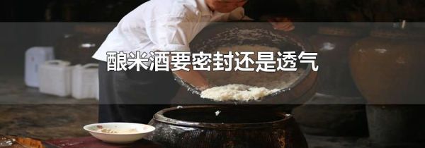 酿米酒要密封还是透气