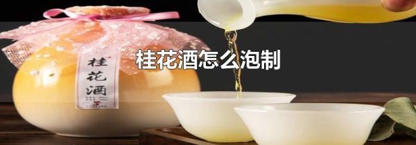 桂花酒怎么泡制