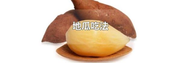 地瓜吃法