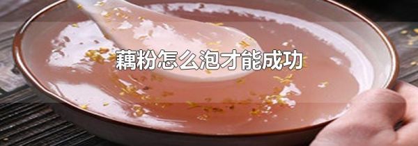 藕粉怎么泡才能成功