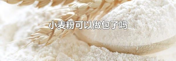 小麦粉可以做包子吗