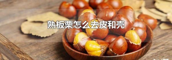 熟板栗怎么去皮和壳