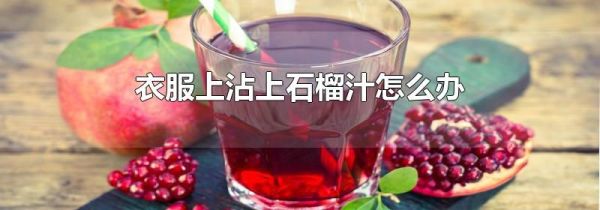 衣服上沾上石榴汁怎么办