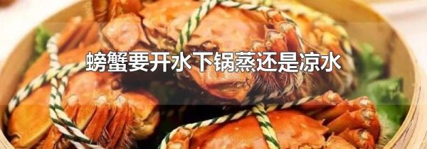 螃蟹要开水下锅蒸还是凉水