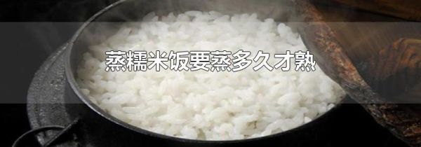 蒸糯米饭要蒸多久才熟