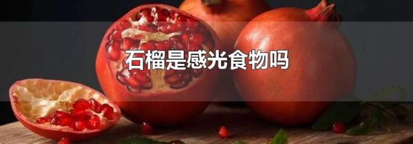 石榴是感光食物吗
